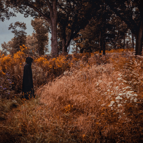 Luminous Veil : Two Solaced the Soils